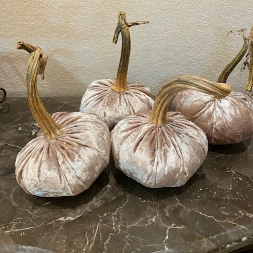 Velvet Pumpkins